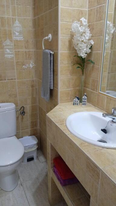 Acogedor Apartamento Jv36 Кордова Экстерьер фото